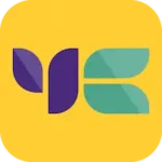 yellow card exchange opiniones