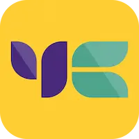 yellow card exchange opiniones