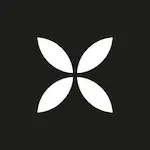 Qonto opiniones banco