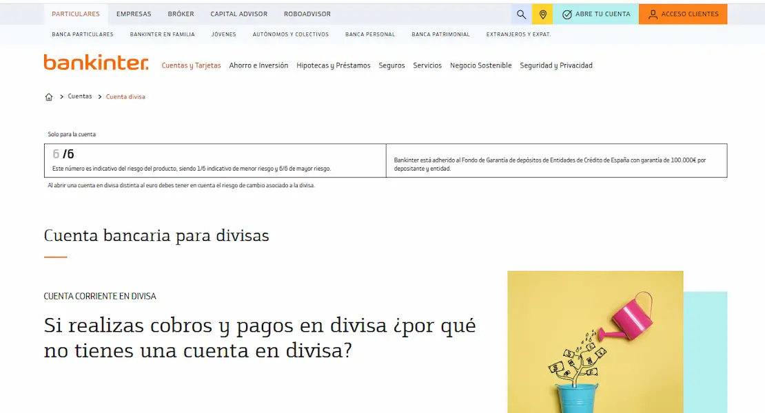 Cuenta Divisa Bankinter