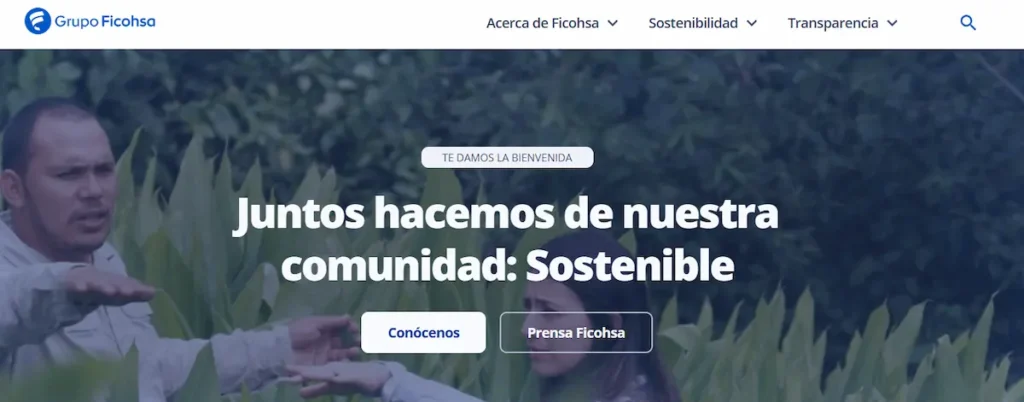 Ficohsa web